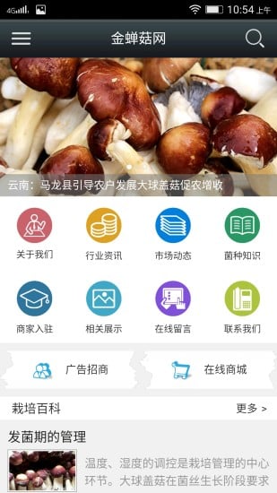 中国金蝉菇网截图3