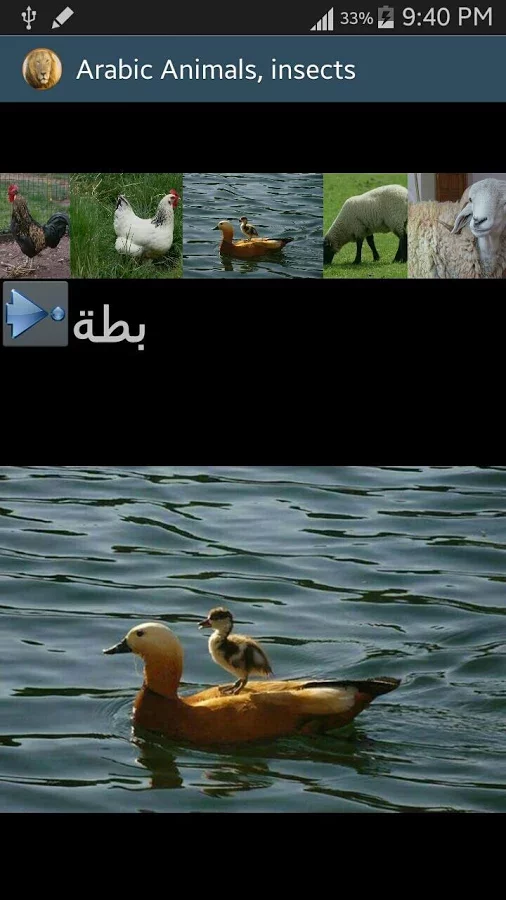 Arabic Picture animals截图5