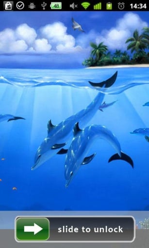 Dolphin Lock Screen Wallpaper截图1