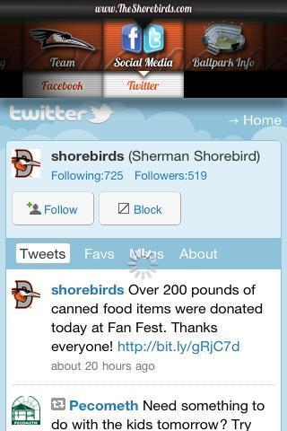 Delmarva Shorebirds截图5