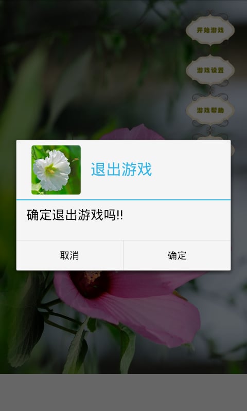 拼图之芙蓉葵截图2