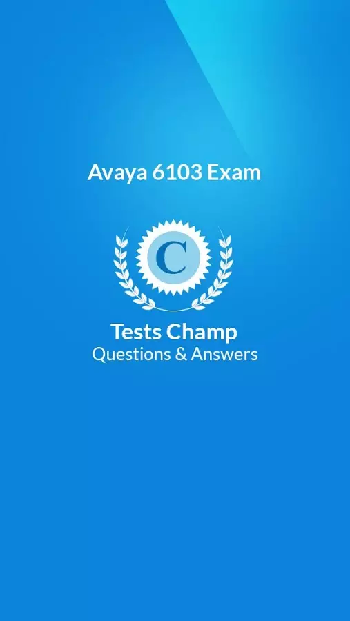 6103 Exam Quick Assessment截图1