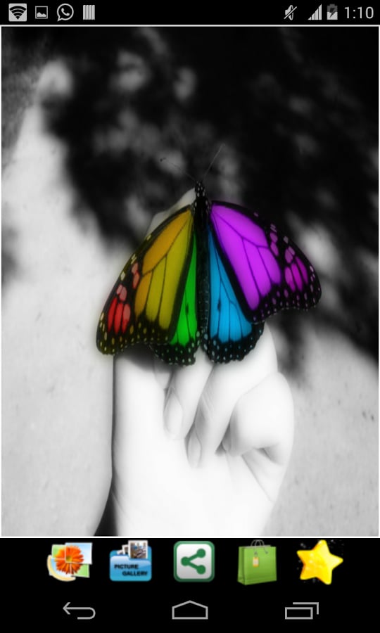 Color Splash Photography截图2