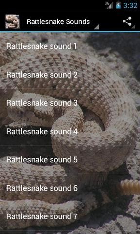 响尾蛇的声音 Rattlesnake Sounds截图2