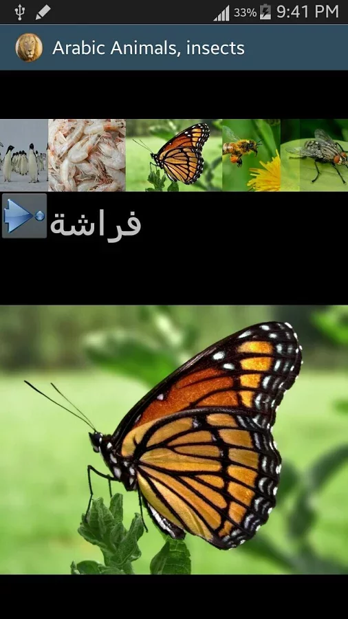 Arabic Picture animals截图7