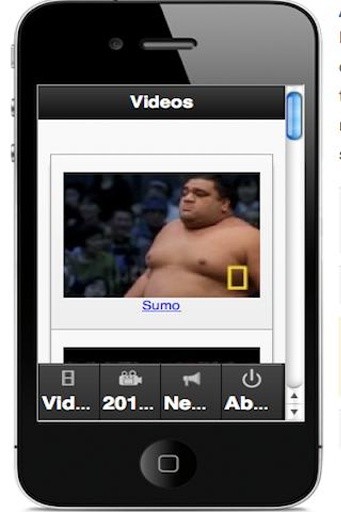 SUMO Wrestling Fan截图1