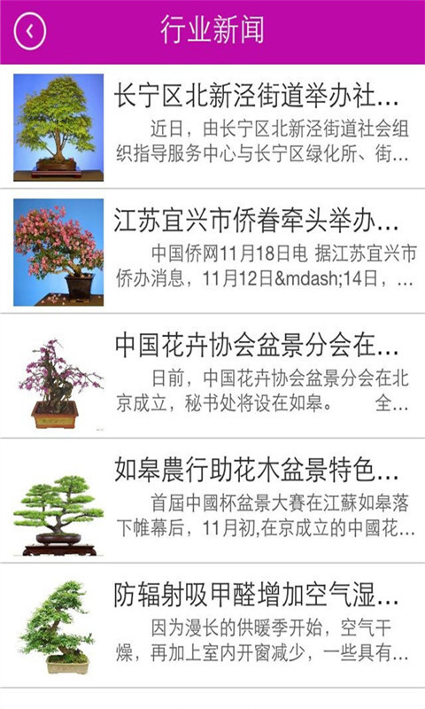 花卉盆景批发截图2