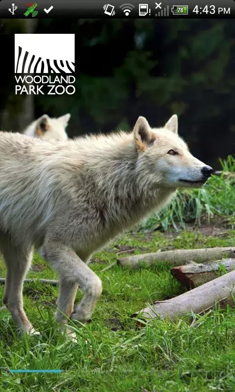 Woodland Park Zoo截图1