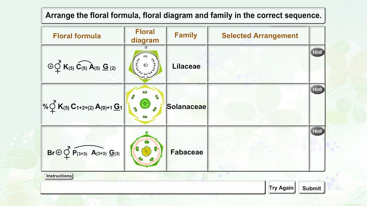 Plant Families截图4