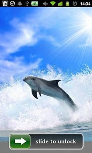 Dolphin Lock Screen Wallpaper截图4