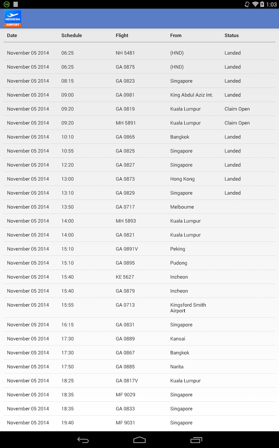 Indonesia Airport截图5