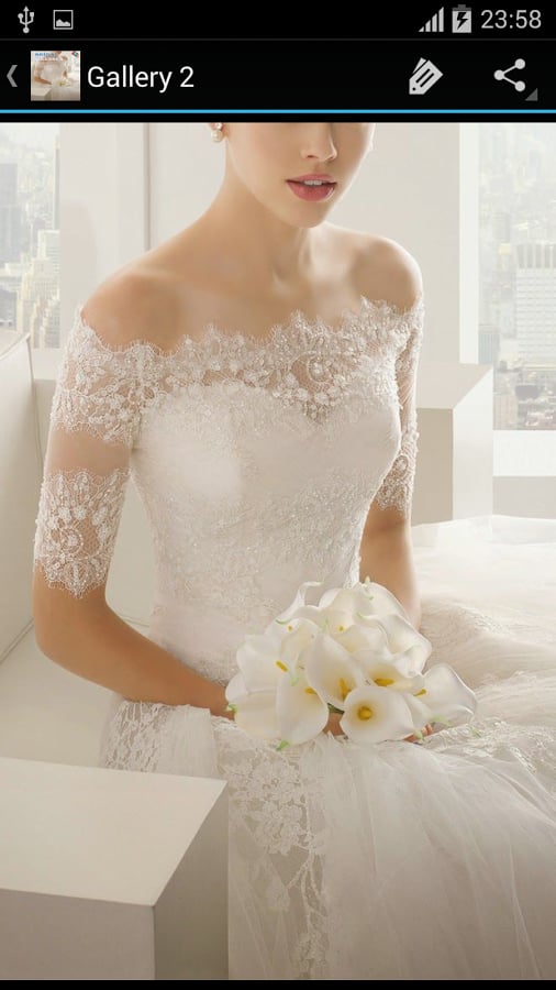 Bridal Dresses截图1