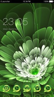 GREEN LIFE Theme截图3