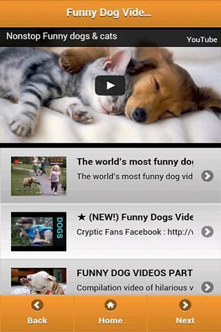 Funny Dog Videos截图1