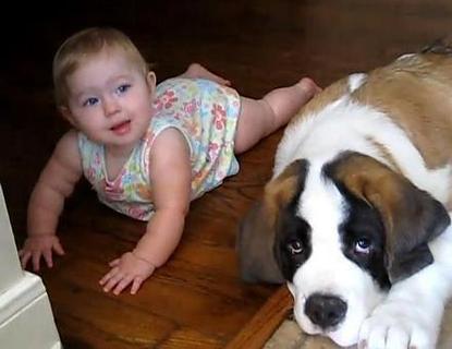 Cute Babies And Puppies ...截图6