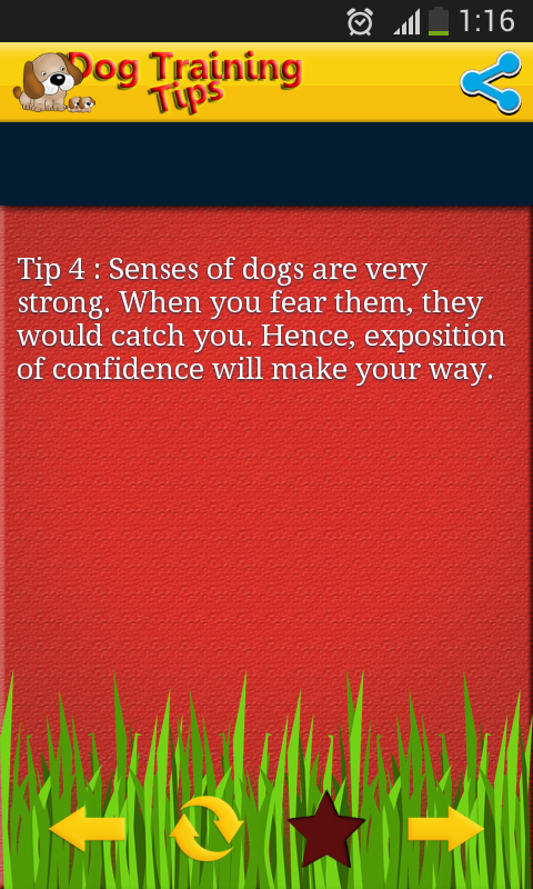 Dog Training Tips截图5