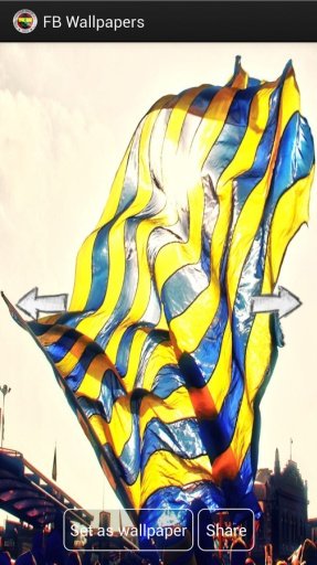 Fenerbahçe Wallpapers HD截图1