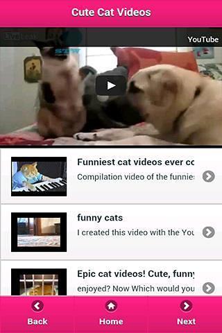 Cute Cat Videos截图2