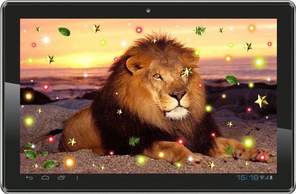 Lion Savanna Wild HD LWP截图4