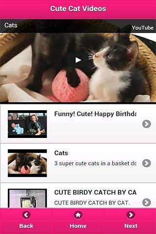 Cute Cat Videos截图5