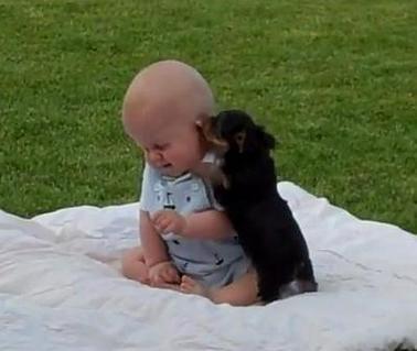 Cute Babies And Puppies ...截图5