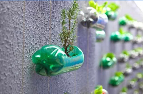 DIY Recycled Craft Ideas截图2