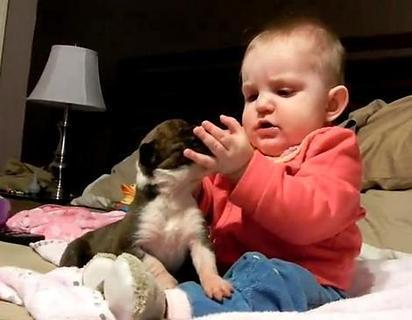 Cute Babies And Puppies ...截图3