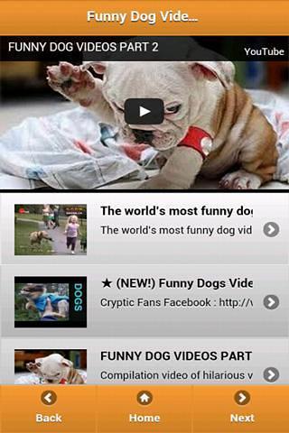 Funny Dog Videos截图2