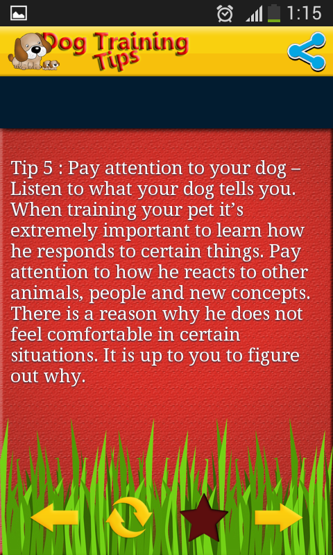 Dog Training Tips截图4