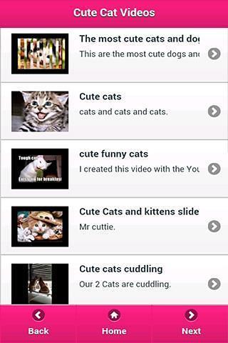 Cute Cat Videos截图1