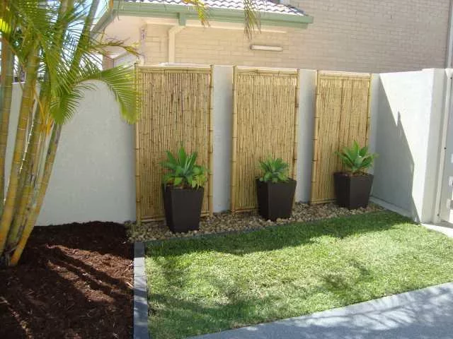 DIY Yard Design Ideas截图4