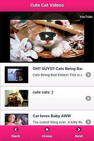 Cute Cat Videos截图6