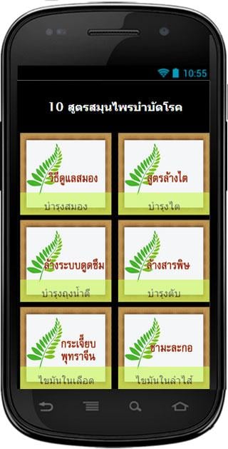 10 สูตรสมุนไพรบำบัดโรค截图2