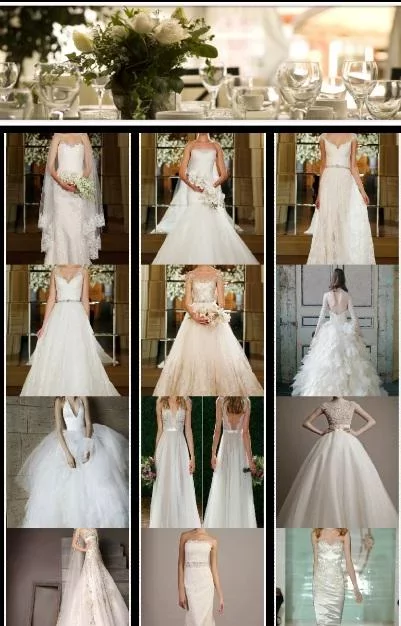 Wedding Dresses Designs截图1