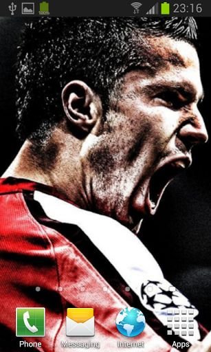 Robin Van Persie Wallpapers截图7