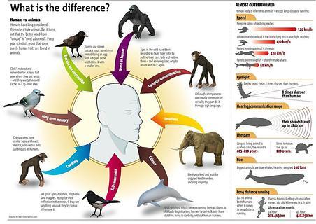 Daily Infographics截图3