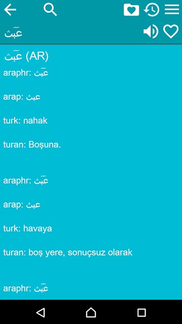 Arabic Turkish Dictionary Free截图3
