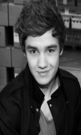 Liam Payne截图1