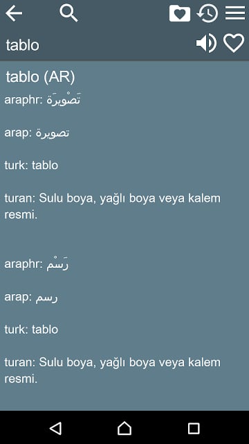 Arabic Turkish Dictionary Free截图6
