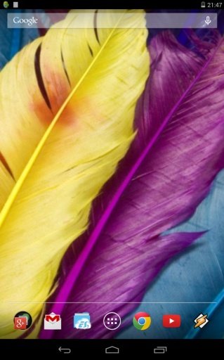 Colorful Feathers HD截图1