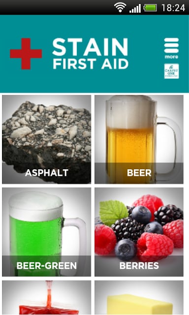 Stain First Aid for Carpet截图2