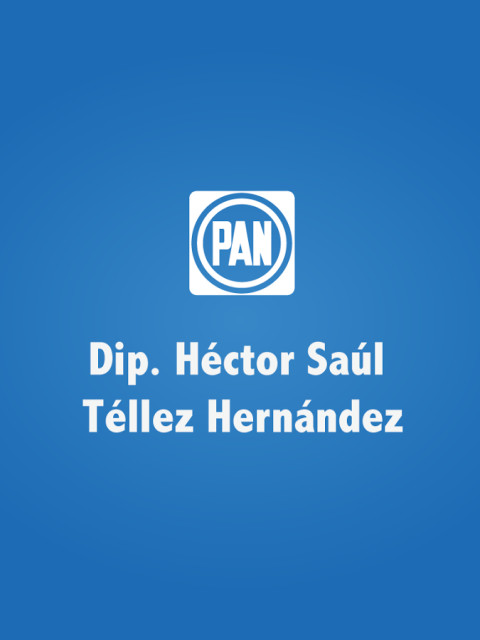 Hector Saul Tellez Hernandez截图3