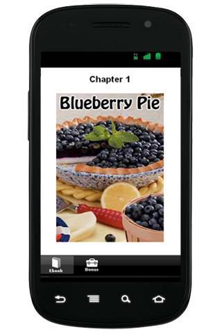 Blueberry Pie Recipe截图2