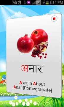 Learn Hindi截图