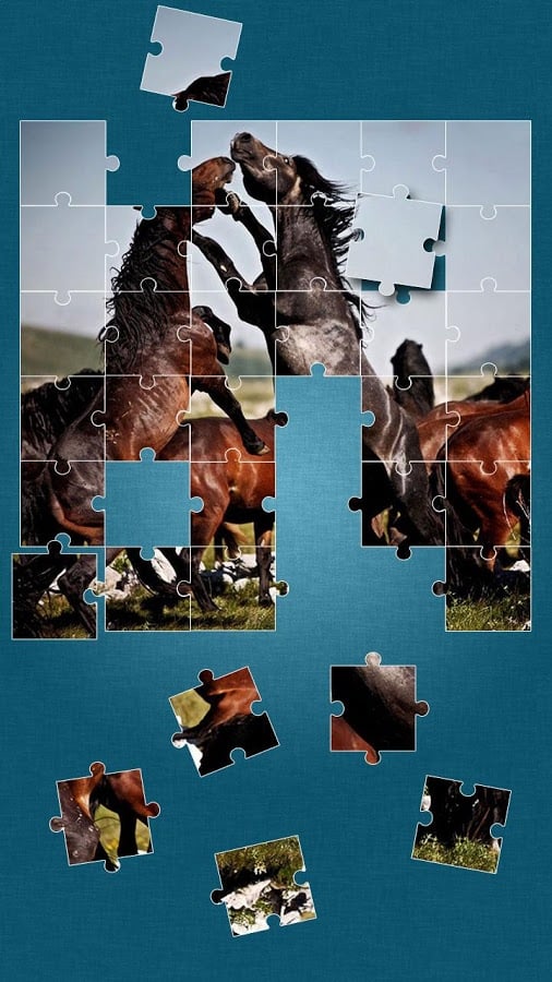 Horses Jigsaw Puzzle Gam...截图3