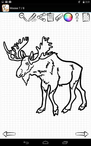 Learn to Draw Wild Animals截图7