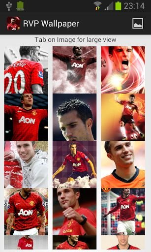 Robin Van Persie Wallpapers截图1