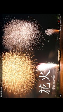 Fireworks [Booknius]截图