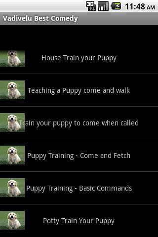 Puppy Training Video截图2