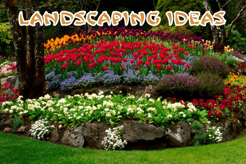 Landscaping Ideas截图5